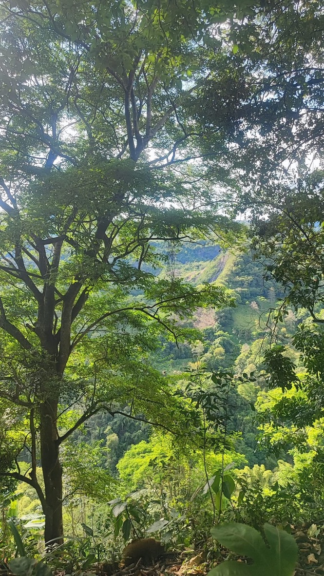 Finca campestre