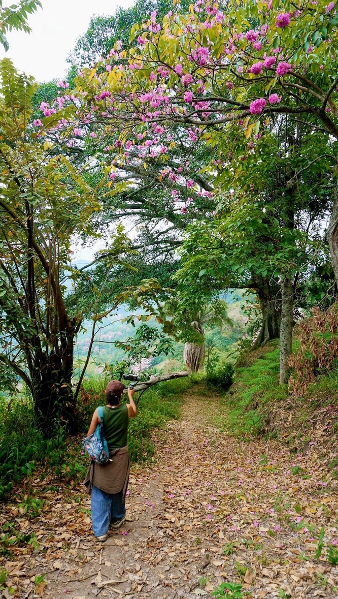 Naturaleza Tequendama